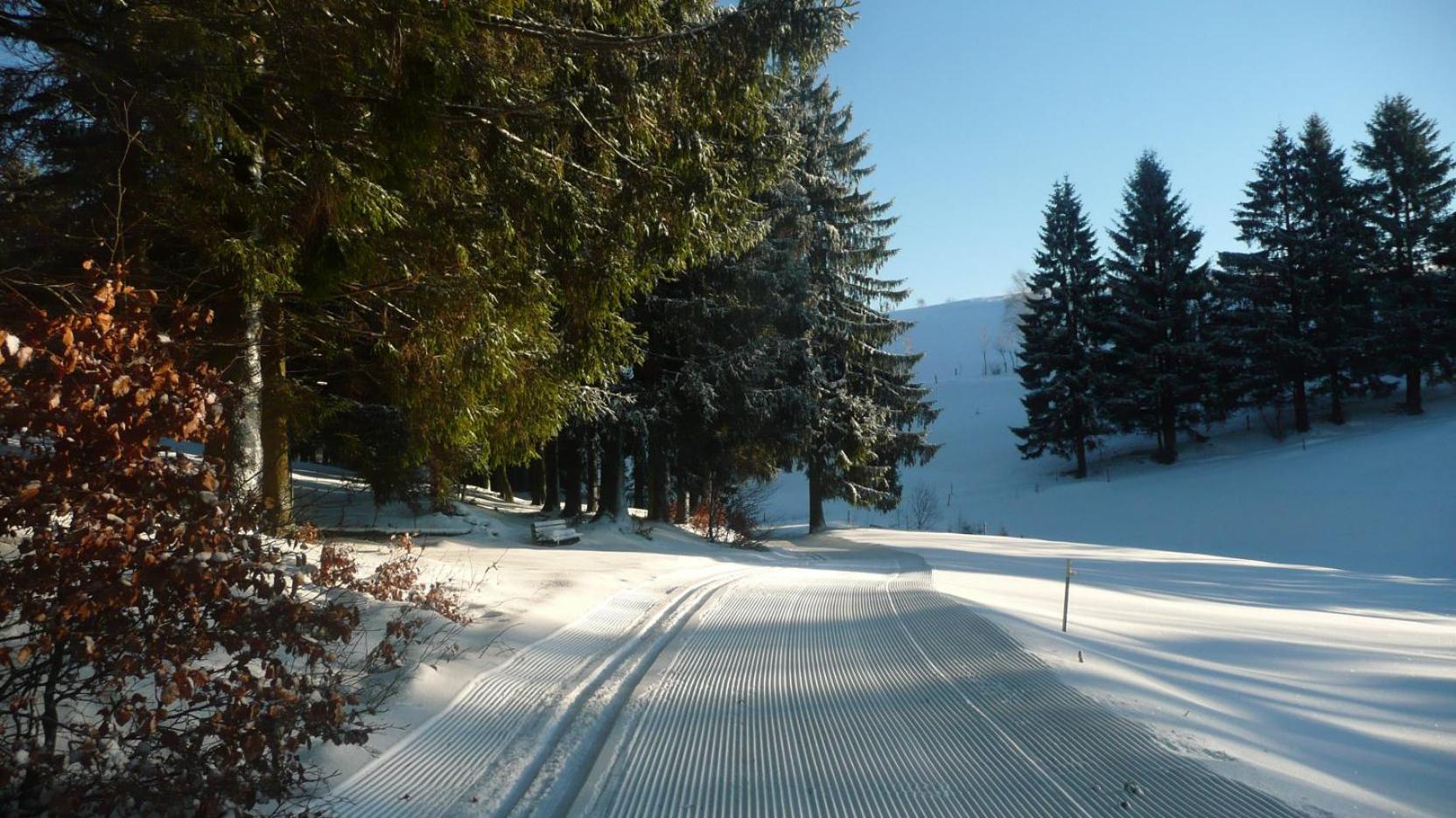 Familien-Hotel Am Traenkbachtal Frauenwald Luaran gambar