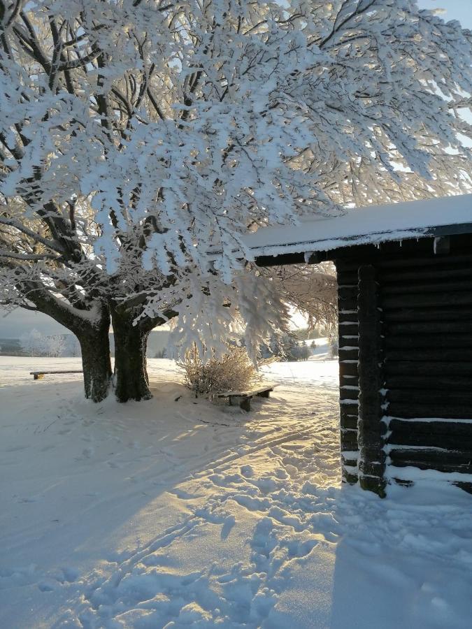 Familien-Hotel Am Traenkbachtal Frauenwald Luaran gambar