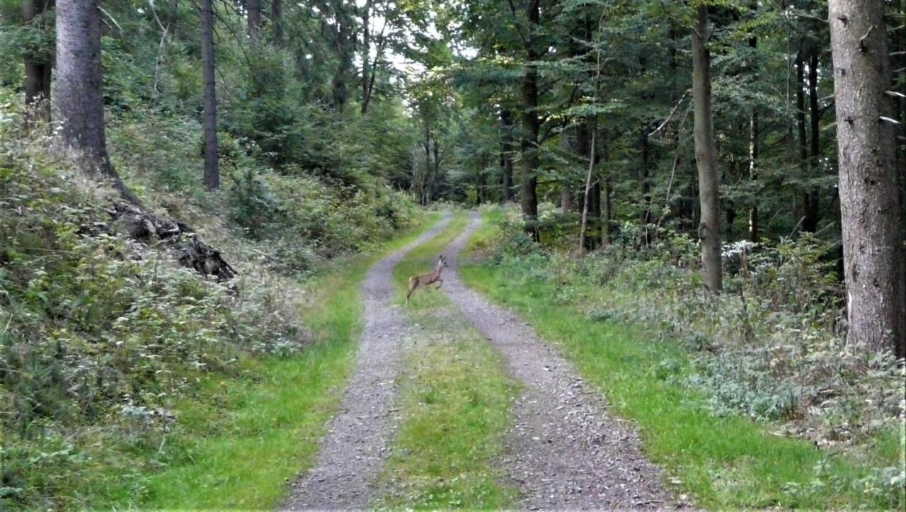 Familien-Hotel Am Traenkbachtal Frauenwald Luaran gambar