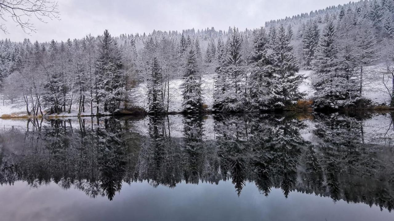 Familien-Hotel Am Traenkbachtal Frauenwald Luaran gambar